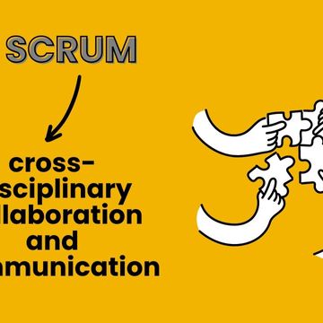 HOW does SCRUM facilitate CROSS-DISCIPLINARY COLLABORATION and COMMUNICATION? #agile #scrum